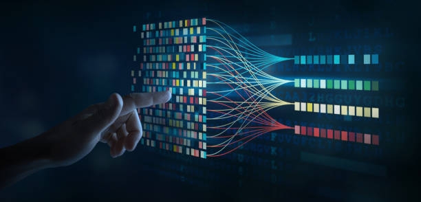 DATA Networking System